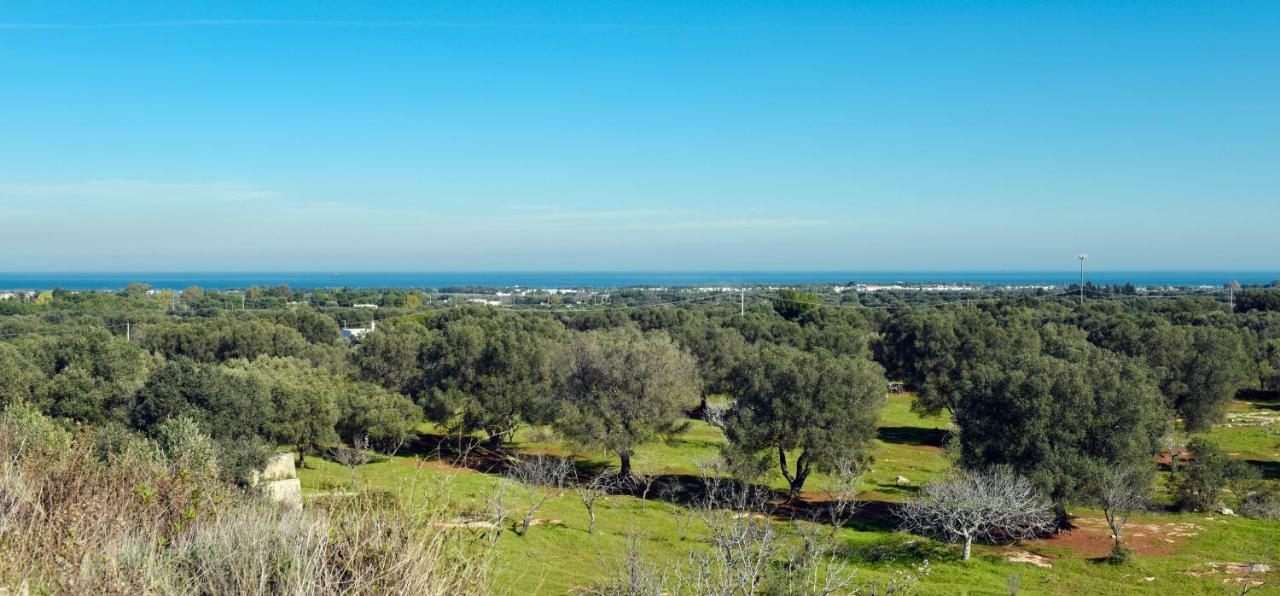 Villa Trullo Ramachandra Carovigno Exterior foto